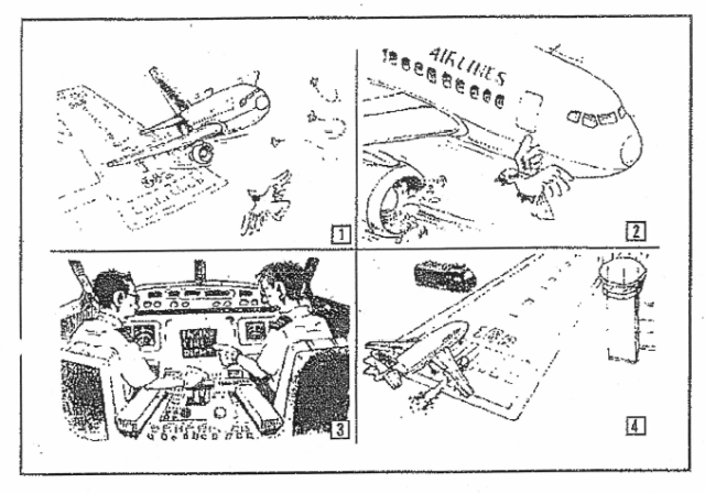 改訂版】航空英語能力実地試験対策マニュアル過去問集(シークレット過去問2問付) 参考書 英語 航空英語 パイロット エアライン 飛行機の通販はau  PAY マーケット - ストアコーバリス公式オンライン | au PAY マーケット－通販サイト